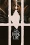Nonton Film Doing Life Sub Indo